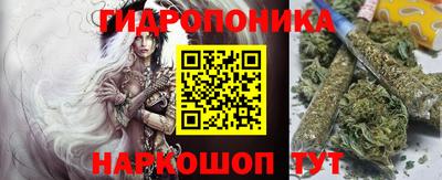 Альфа ПВП Новозыбков