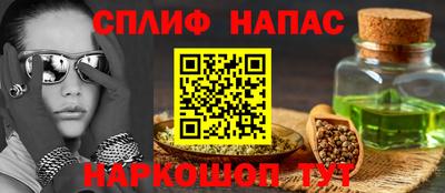 Альфа ПВП Новозыбков