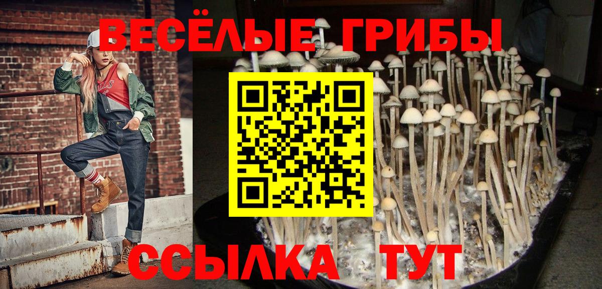 даркнет сайт  Вход с VPN  Геленджик  Галлюциногенные грибы мухоморы 